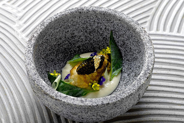 Corner-ASIA-2019-DISH1